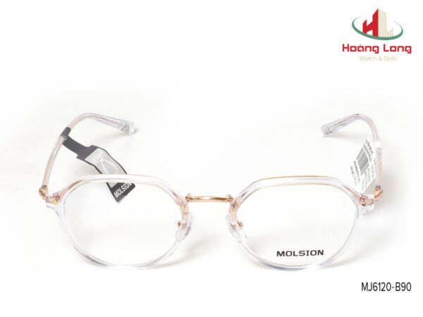 Gọng kính MOLSION MJ6120