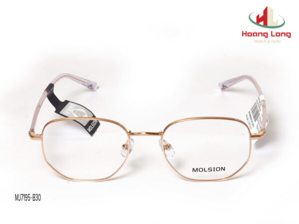 Gọng kính MOLSION MJ7226