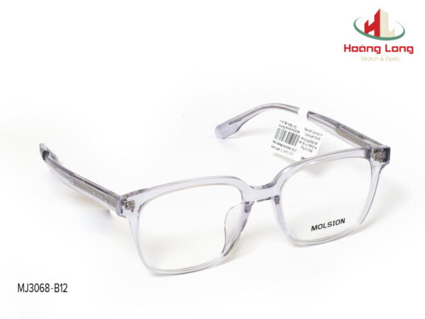 Gọng kính MOLSION MJ3068-B12