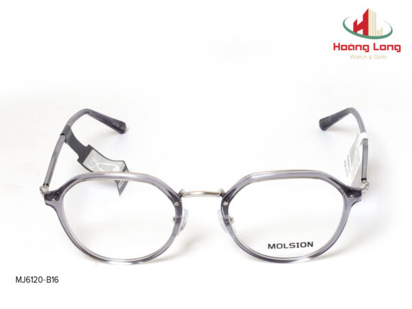 Gọng kính MOLSION MJ6120-B16