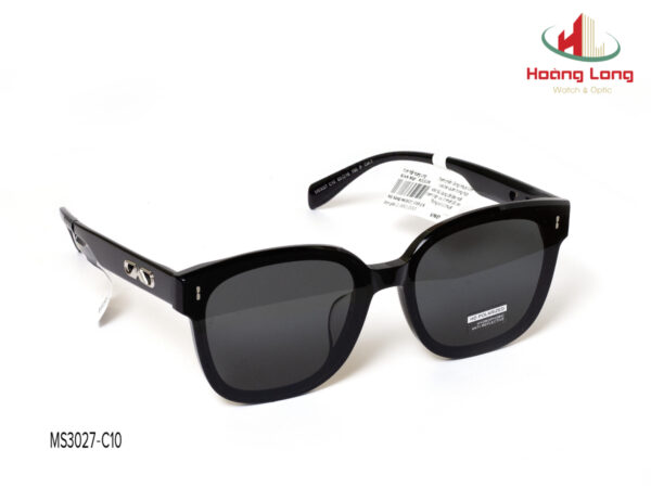 Gọng kính MOLSION MS3027