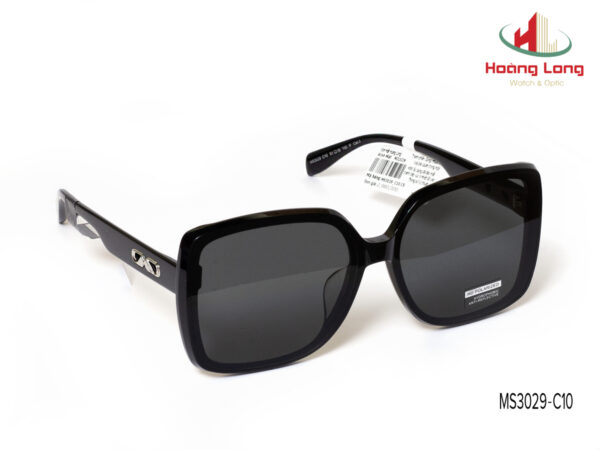 Gọng kính MOLSION MS3029