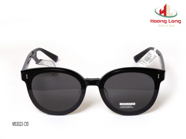 Gọng kính MOLSION MS3023