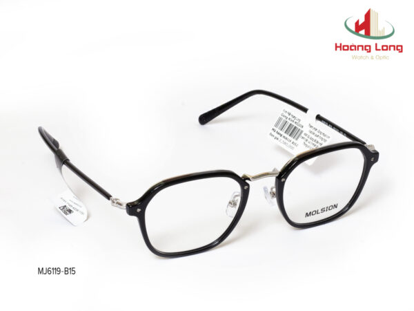 Gọng kính MOLSION MJ6119