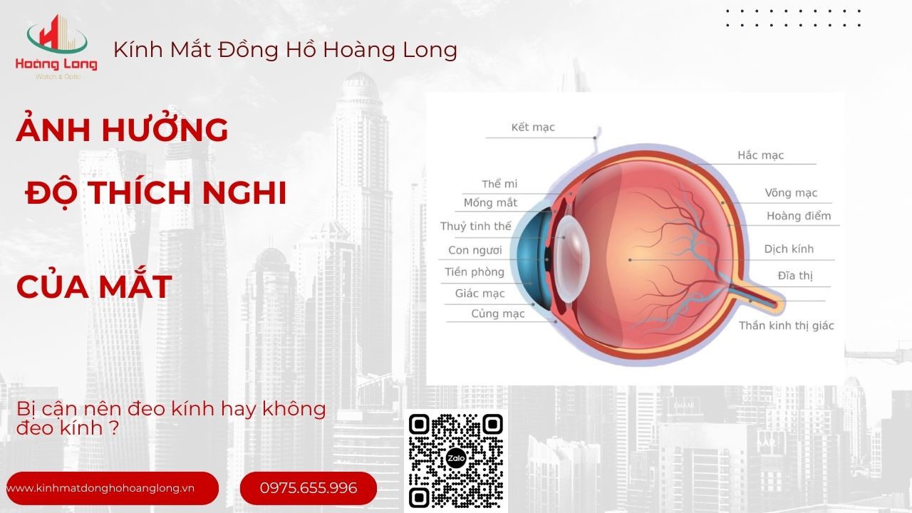 Không Đeo Kính Ảnh Hưởng Đến Độ Thích Nghi Của Mắt Không Đeo Kính Ảnh Hưởng Đến Độ Thích Nghi Của Mắt